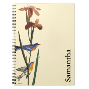 Audubon: Warbler Notitieboek