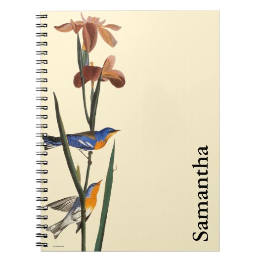 Audubon: Warbler Notitieboek (Voorkant)