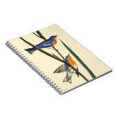 Audubon: Warbler Notitieboek (Rechterzijde)