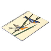 Audubon: Warbler Notitieboek (Linkerzijde)