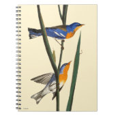Audubon: Warbler Notitieboek (Voorkant)
