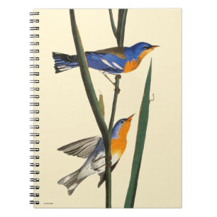 Audubon: Warbler Notitieboek