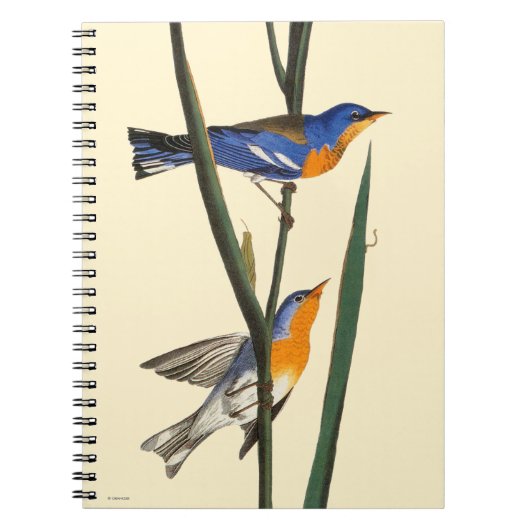 Audubon: Warbler Notitieboek (Voorkant)