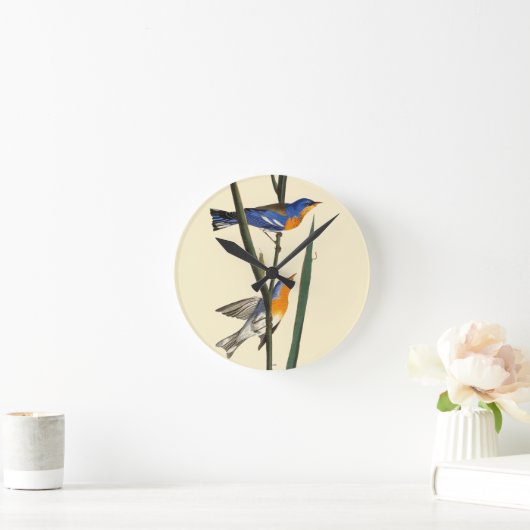 Audubon: Warbler Ronde Klok (Huis)