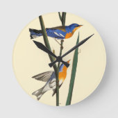 Audubon: Warbler Ronde Klok (Voorkant)