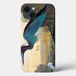Audubon: Weinig Blauwe Reiger Case-Mate iPhone Case