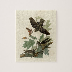  Audubon Whip-poor-will schilfinting Gift Legpuzzel