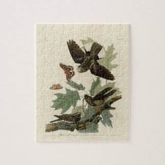 Audubon Whip-poor-will schilfinting Gift Legpuzzel