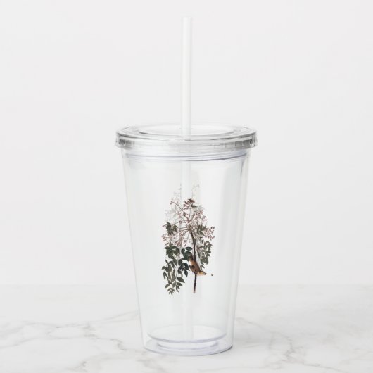 Audubon White Eyed Vireo Song Bird Acryl Drinkbeker (Voorkant)