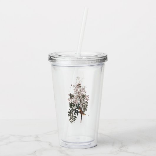 Audubon White Eyed Vireo Song Bird Acryl Drinkbeker (Achterkant)