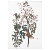Audubon White Eyed Vireo Song Bird Art Klembord (Achterkant)
