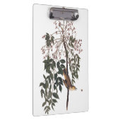 Audubon White Eyed Vireo Song Bird Art Klembord (Rechts)