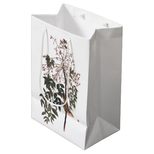 Audubon White Eyed Vireo Song Bird Art Medium Cadeauzakje (Voorkant Gekanteld)