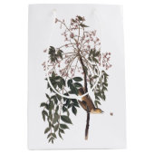 Audubon White Eyed Vireo Song Bird Art Medium Cadeauzakje (Voorkant)