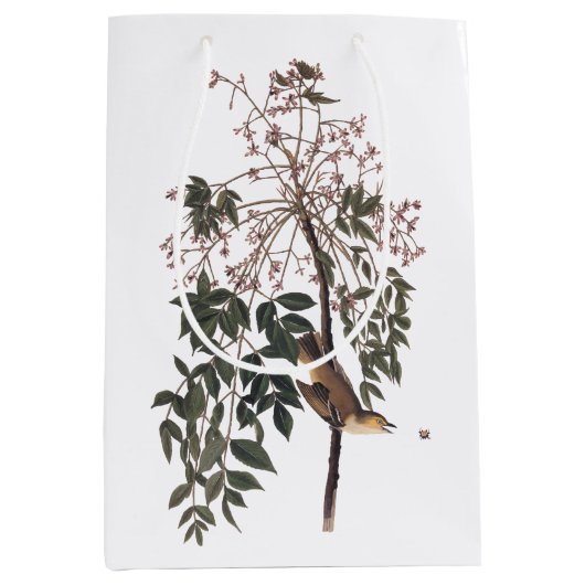 Audubon White Eyed Vireo Song Bird Art Medium Cadeauzakje (Voorkant)