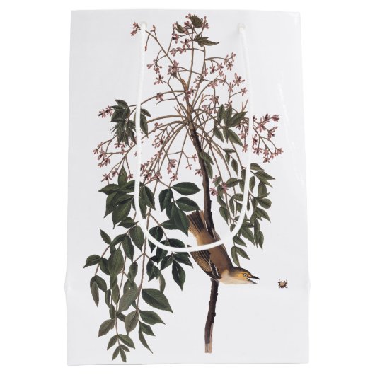 Audubon White Eyed Vireo Song Bird Art Medium Cadeauzakje (Achterkant)