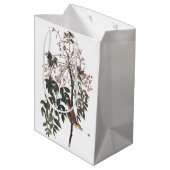 Audubon White Eyed Vireo Song Bird Art Medium Cadeauzakje (Achterkant Gekanteld)