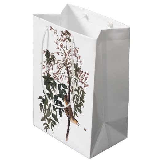 Audubon White Eyed Vireo Song Bird Art Medium Cadeauzakje (Achterkant Gekanteld)