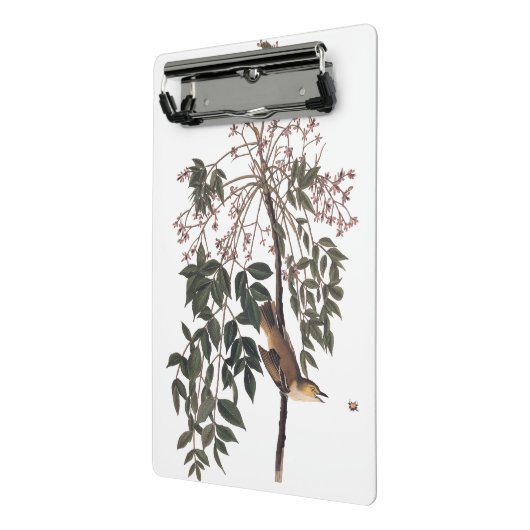 Audubon White Eyed Vireo Song Bird Art Mini Klembord (Angled2)