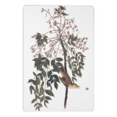 Audubon White Eyed Vireo Song Bird Art Mini Klembord (Achterkant)
