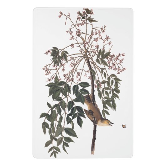 Audubon White Eyed Vireo Song Bird Art Mini Klembord (Achterkant)