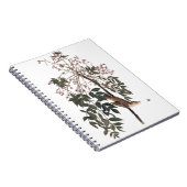 Audubon White Eyed Vireo Song Bird Art Notitieboek (Rechterzijde)