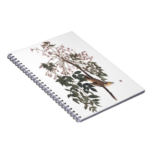 Audubon White Eyed Vireo Song Bird Art Notitieboek (Rechterzijde)