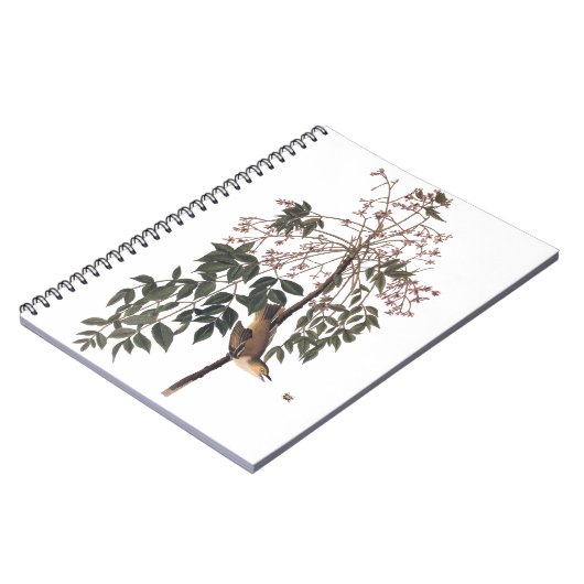Audubon White Eyed Vireo Song Bird Art Notitieboek (Linkerzijde)