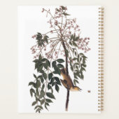 Audubon White Eyed Vireo Song Bird Art Planner (Achterkant)