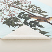 Audubon White Eyed Vireo Song Bird Art Sherpa Deken (3/4)