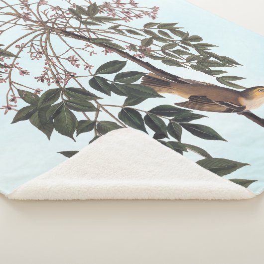 Audubon White Eyed Vireo Song Bird Art Sherpa Deken (3/4)