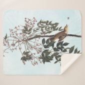 Audubon White Eyed Vireo Song Bird Art Sherpa Deken (Voorkant (horizontaal))