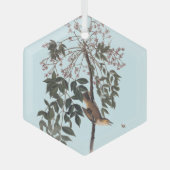 Audubon White Eyed Vireo Song Bird Art Throw Blank Glas Ornament (Voorkant)