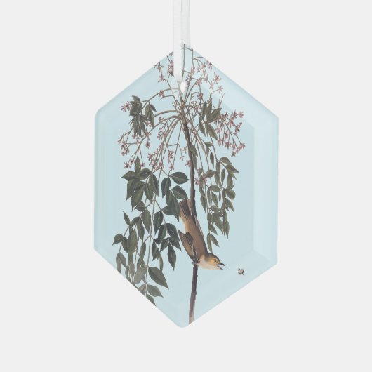 Audubon White Eyed Vireo Song Bird Art Throw Blank Glas Ornament (Voorkant links)