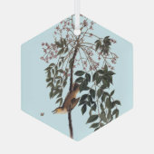 Audubon White Eyed Vireo Song Bird Art Throw Blank Glas Ornament (Achterkant)