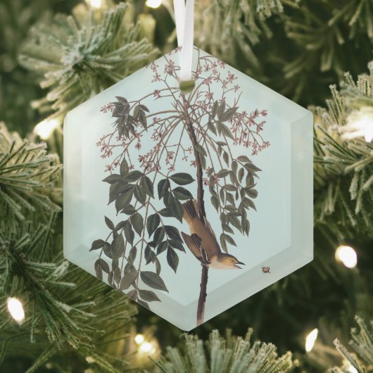 Audubon White Eyed Vireo Song Bird Art Throw Blank Glas Ornament (Insitu)
