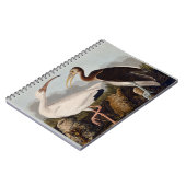Audubon White Ibis Notitieboek (Linkerzijde)