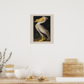Audubon White Pelican Bird  Print (Keuken)