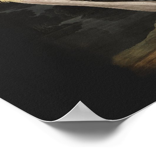 Audubon White Pelican Bird Print (Hoek)