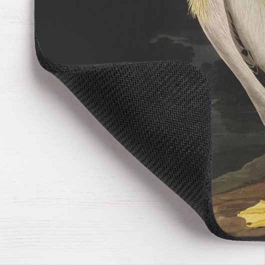 Audubon White Pelican Bird  Print Muismat (Hoek)