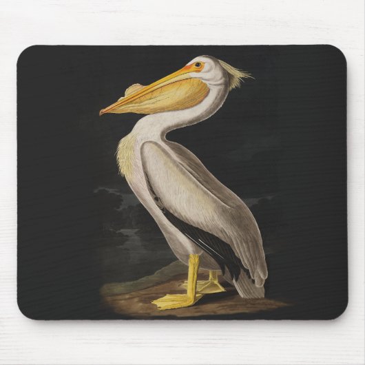 Audubon White Pelican Bird Print Muismat (Voorkant)