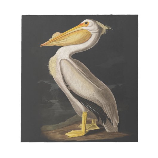 Audubon White Pelican Bird  Print Notitieblok (Voorkant)