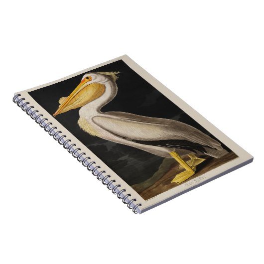 Audubon White Pelican Bird  Print Notitieboek (Rechterzijde)