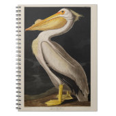 Audubon White Pelican Bird  Print Notitieboek (Voorkant)