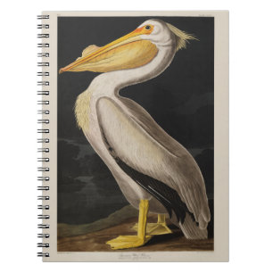 Audubon White Pelican Bird  Print Notitieboek