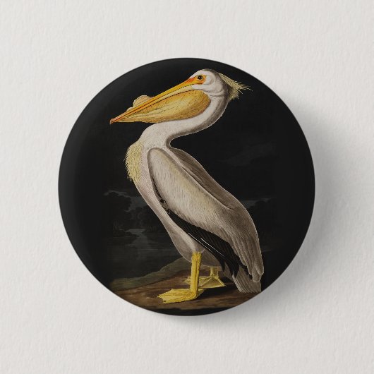 Audubon White Pelican Bird  Print Ronde Button 5,7 Cm (Voorkant)