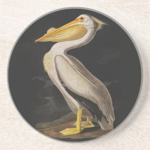 Audubon White Pelican Bird Print Zandsteen Onderzetter