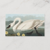 Audubon White Swan Watervogels schilderij Visitekaartje (Achterkant)