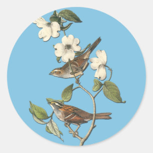 Audubon White Throded Sparrow Bird Art Stickers