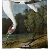 Audubon Whooping Crane Bird Shower Curtain Douchegordijn (Voorkant)
